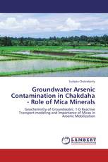 Groundwater Arsenic Contamination in Chakdaha - Role of Mica Minerals