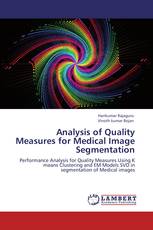 Analysis of Quality Measures  for Medical Image Segmentation