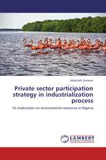 Private sector participation strategy in industrialization process
