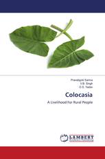 Colocasia