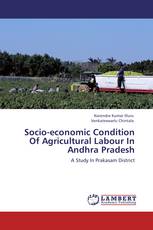 Socio-economic Condition Of Agricultural Labour In Andhra Pradesh
