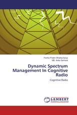 Dynamic Spectrum Management In Cognitive Radio