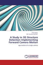 A Study in 3D Structure Detection Implementing Forward Camera Motion