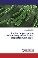 Studies on phosphate solubilizing rhizobacteria associated with apple