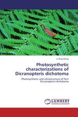 Photosynthetic characterizations of  Dicranopteris dichotoma