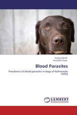 Blood Parasites
