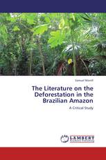 The Literature on the Deforestation in the Brazilian Amazon