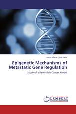 Epigenetic Mechanisms of Metastatic Gene Regulation