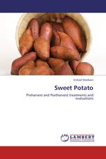 Sweet Potato