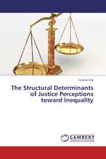 The Structural Determinants of Justice Perceptions toward Inequality