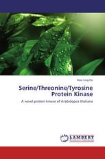 Serine/Threonine/Tyrosine Protein Kinase
