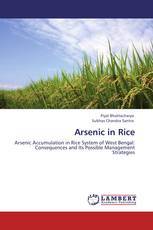 Arsenic in Rice