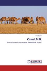 Camel Milk