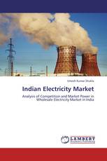 Indian Electricity Market