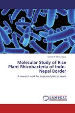Molecular Study of Rice Plant Rhizobacteria of Indo-Nepal Border