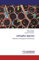 Jatropha Species