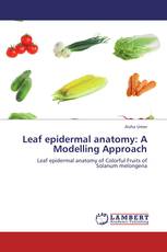 Leaf epidermal anatomy: A Modelling Approach