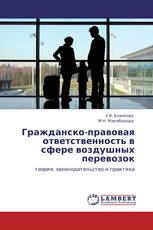 Гражданско-правовая ответственность в сфере воздушных перевозок
