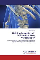 Gaining Insights Into Volumetric Data Visualization