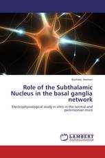 Role of the Subthalamic Nucleus in the basal ganglia network