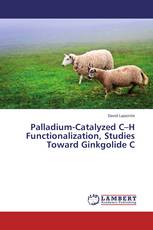 Palladium-Catalyzed C–H Functionalization, Studies Toward Ginkgolide C