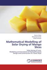 Mathematical Modelling of Solar Drying of Mango Slices