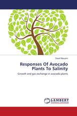 Responses Of Avocado Plants To Salinity