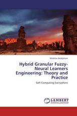 Hybrid Granular Fuzzy-Neural Learners Engineering: Theory and Practice