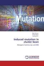Induced mutation in  cluster bean