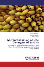 Micropropagation of Elite Genotypes of Banana