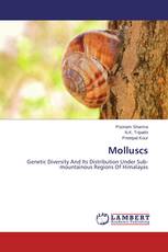 Molluscs