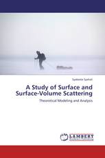 A Study of Surface and Surface-Volume Scattering