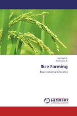 Rice Farming