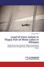 Level of trace metals in Tilapia Fish of three Lakes in Ethiopia