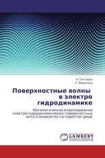 Поверхностные волны   в электро  гидродинамике