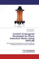 Control of Designed Developed Six Phase Induction Motor Using MATLAB