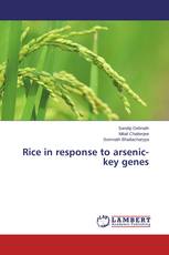 Rice in response to arsenic-key genes