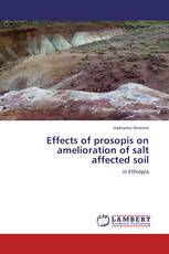 Effects of prosopis on amelioration of salt affected soil