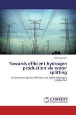 Towards efficient hydrogen production via water splitting