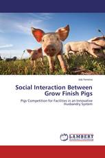 Social Interaction Between Grow Finish Pigs