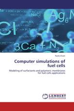 Computer simulations of fuel cells