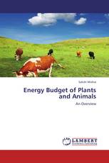 Energy Budget of Plants and Animals