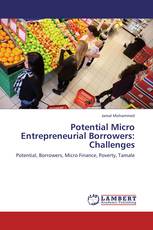 Potential Micro Entrepreneurial Borrowers: Challenges