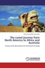 The camel journey from North America to Africa and Australia