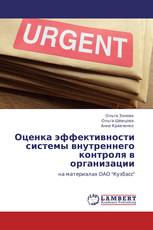 Оценка эффективности системы внутреннего контроля в организации