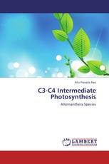 C3-C4 Intermediate Photosynthesis
