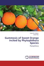 Gummosis of Sweet Orange incited by Phytophthora Species