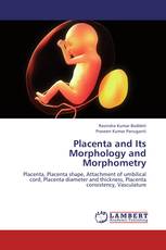 Placenta and Its Morphology and Morphometry