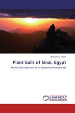 Plant Galls of Sinai, Egypt