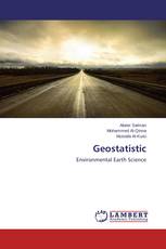Geostatistic
